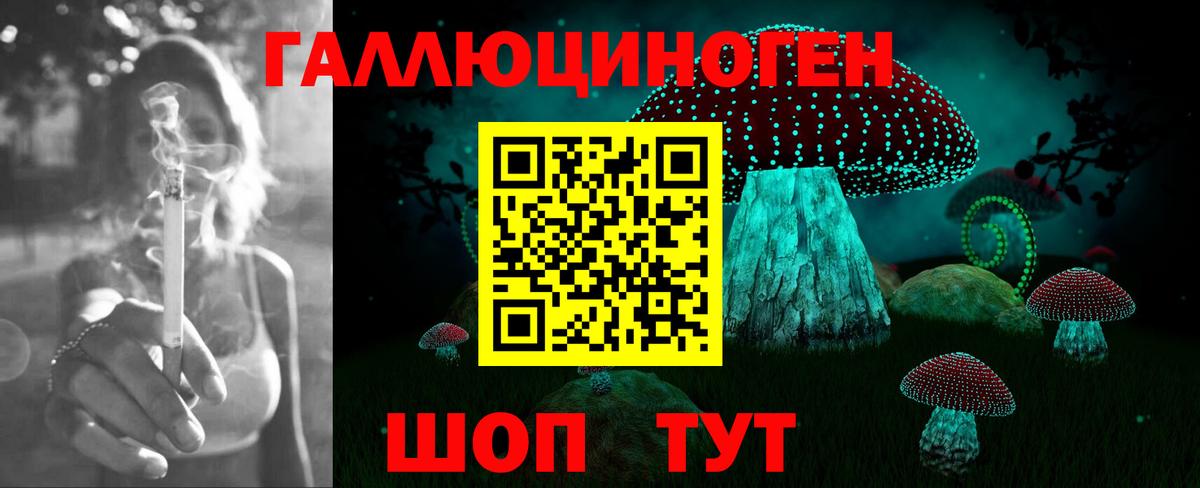 Псилоцибиновые грибы Psilocybe Лосино-Петровский